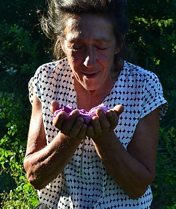 Roseline Giorgis, cultivatrice de rose 4