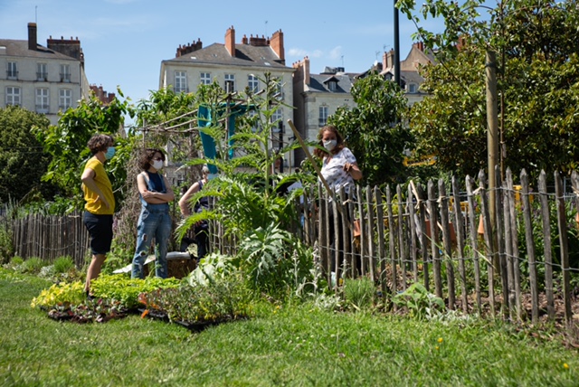 À Nantes, les légumes des espaces verts nourrissent les plus défavorisés 1