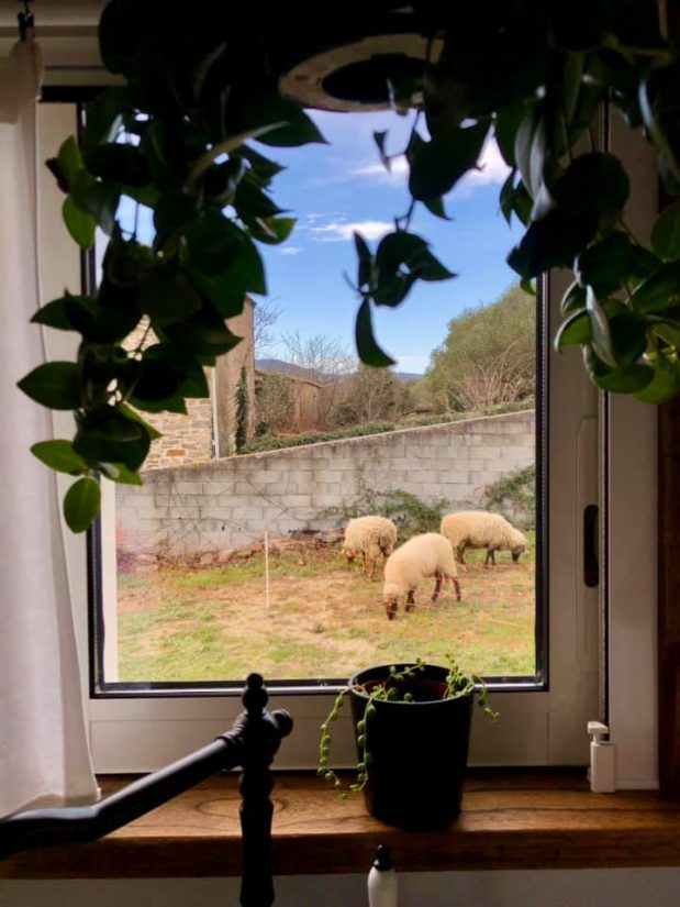 Tiny house moutons