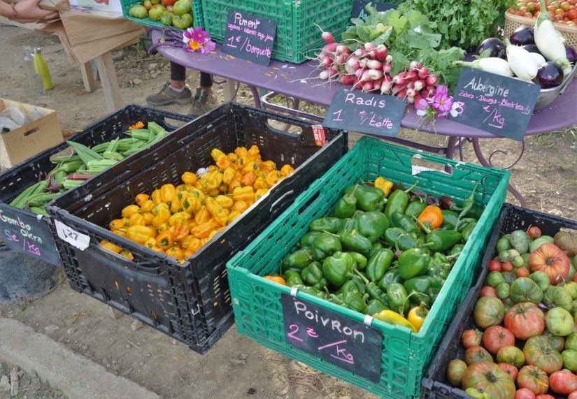 vente-legume-ferme-urbaine-marseille